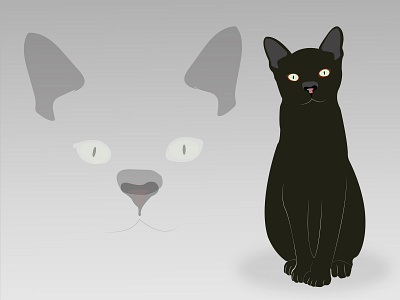 Blck Cat black cat cat cats design graphics illustration vector