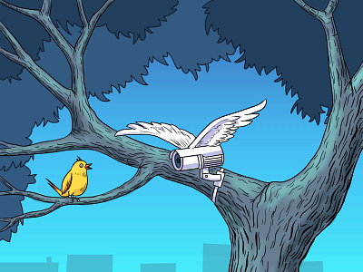 new bird animation bird cartoon cartoon character character design illustraion