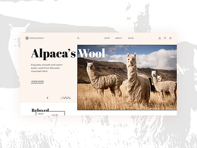Alpaca's wool shop concept design e commerce ecommerce ui wool