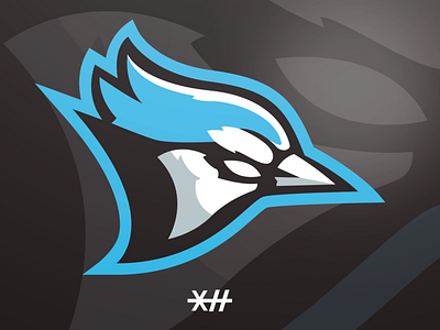 Blue Jay Mascot Logo branding logo mascot mascot logo