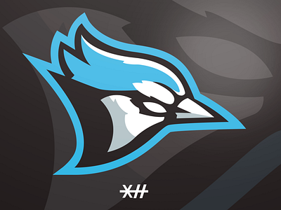 Blue Jay Mascot Logo