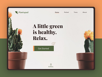 Plantspad | Website Design branding design homepage minimal plants pot trees ui ux web webpage website