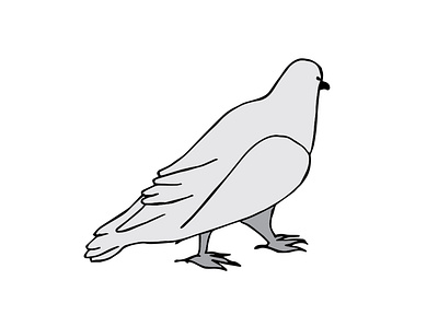 PIGEON animals illustrated birds illustration black and white graphic art graphic artist graphic icon graphic studio illustration minimalistic minimalistic art pigeon prints sharonmstudio sketch tel aviv