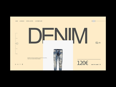 Denim Website Concept.