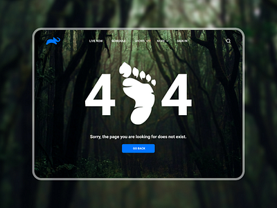 008 404 Page - DailyUI