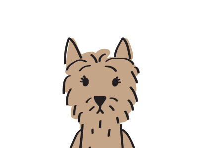 Flynn The Cairn animal cairn terrier character design digital dog drawing illustration illustrator new sketch vector