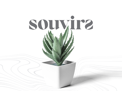 The Brand: Souvirs branding brands business gifts logo logo design souvenirs startup