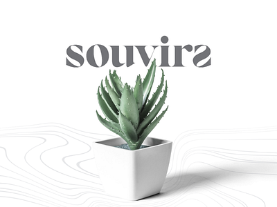 The Brand: Souvirs