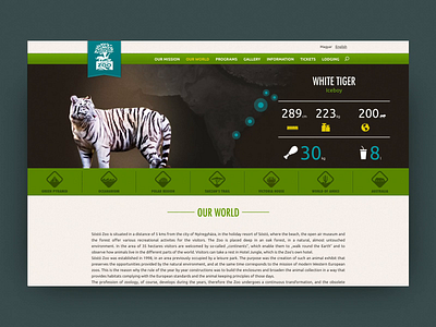 Sosto Zoo animation design interaction motion typography ui ux video web website