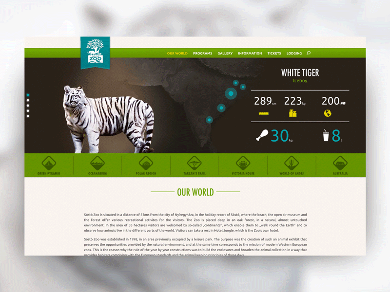 Sosto Zoo animal animation design typography ui ux website zoo