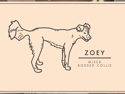 Zoey dog illustration monoline