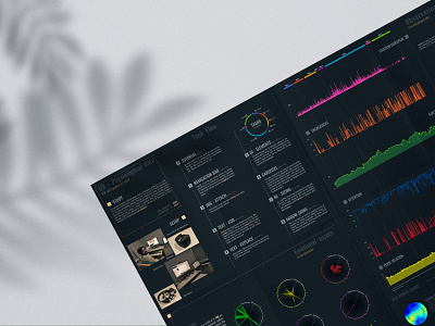 UX_study_datavisualization