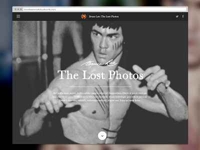 Bruce Lee: The Lost Photos site browser bruce lee design desktop mobile photography responsive web website