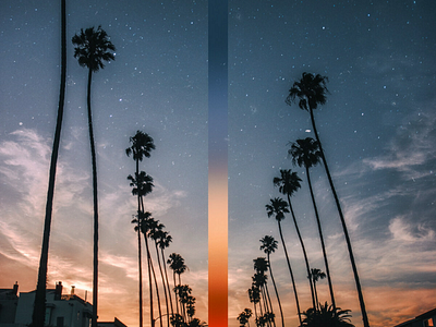 LA Gradient california color graphic design los angeles palm trees photo photography