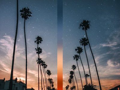 LA Gradient