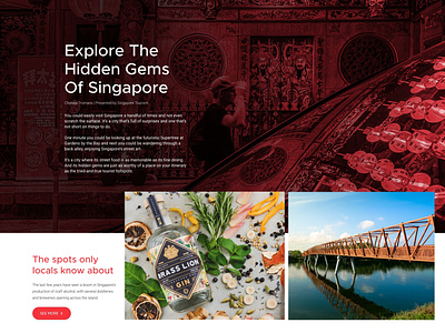 Singapore Tourism Website Design