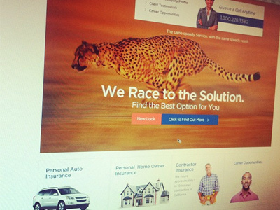 Insurance Company, Brown & Brown blue design gray red site typography web design website white