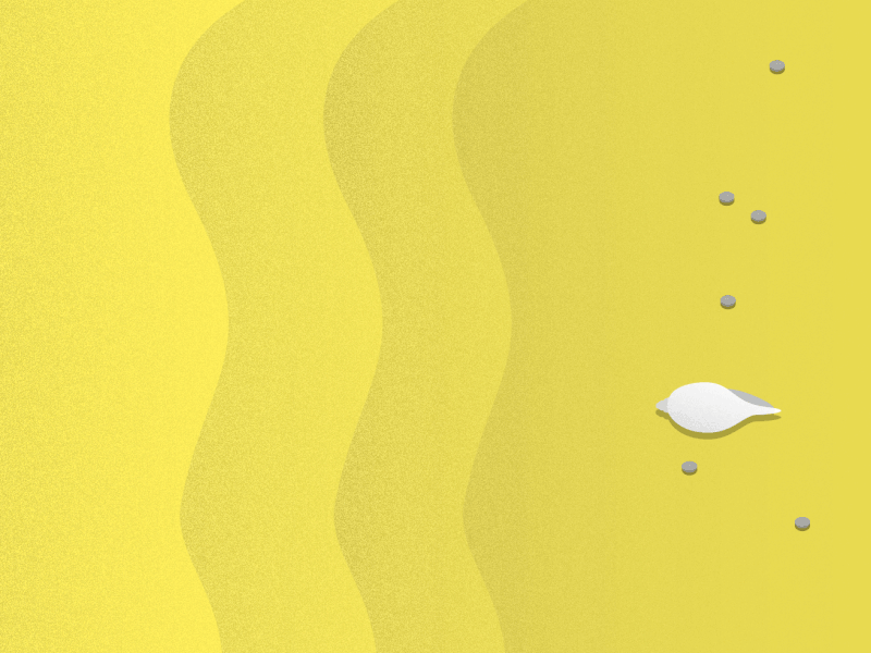 Conch Life... animation beach blue conch design gif illustration loop motion design motion graphics warm yellow