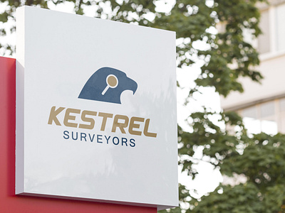 Creative logo design for KESTREL SURVRYORS