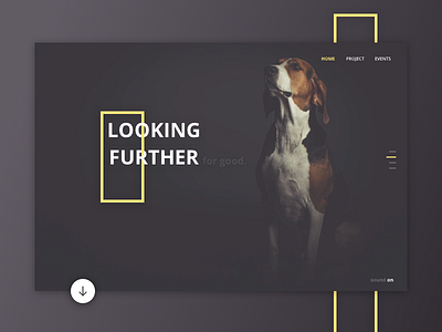 looking further. for good. design home landing slider ui ux website