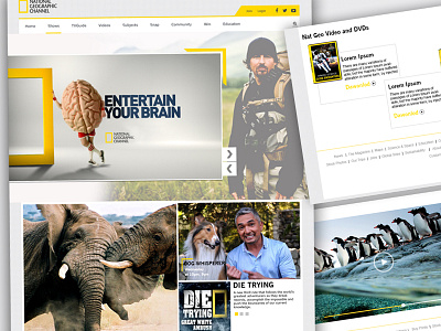 Redesign National Geographic geographic national redesign weblayout