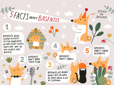 5 facts about basenjis basenji dog illustration pet