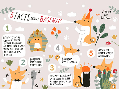5 facts about basenjis
