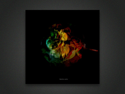 EP techno music abstract art artistic direction cover artwork cover design dark design experiement graphic design music roses vigny