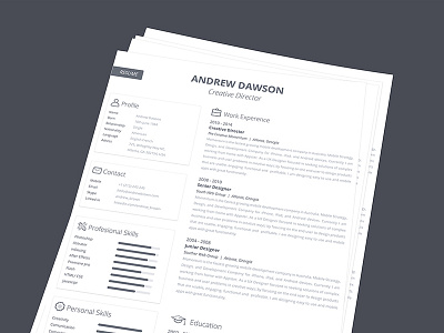 Greyline Resume Template cover curriculum vitae cv designer grey greyline job mono print resume template