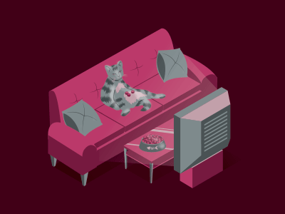 Television Cat