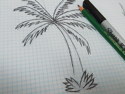 Palm Sketch blocks building palm sketch tree