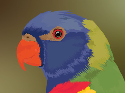 Bird Illustration bird illustration birds illustration illustration art illustrations illustrator vector
