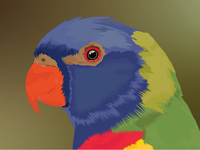 Bird Illustration