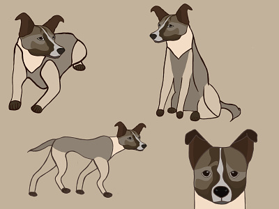 Dog Character Concept animation character character design concept design dog doggo illustration