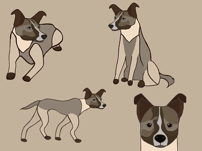Dog Character Concept