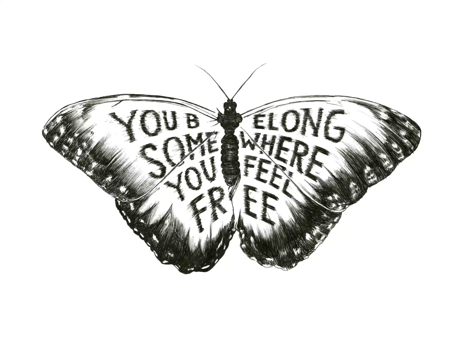 Wildflowers animation butterfly handlettering illustration tom petty typography wildflowers