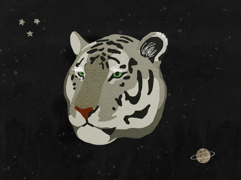 Space Cats animation cat gif illustration laser paper paper art photoshop planet space texture tiger weekly warm up weeklywarmup