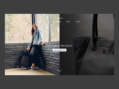 Homepage Design for TSOG Bags bags digital design fashion homepage design web design