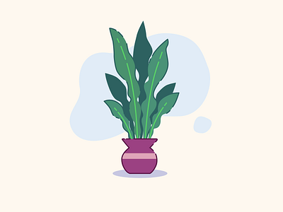Another house plant! animation design graphic design illustration motion graphics