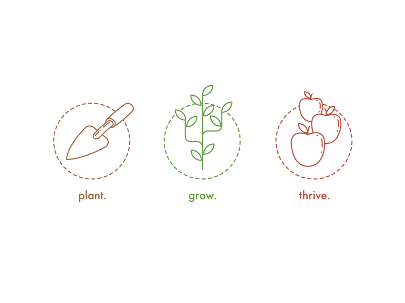 plant - grow - thrive icon/illustrations icons illustration logo