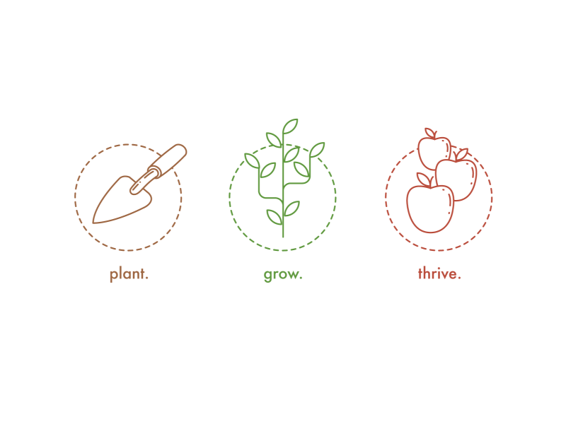 plant - grow - thrive icon/illustrations