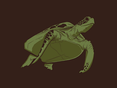 Sea Turtle 2 color illustration