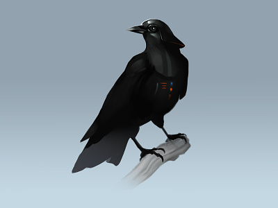 Crow Vader