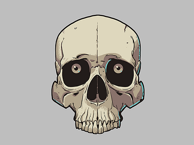 Skull illustration illustration skull