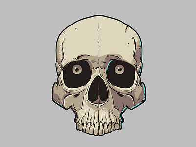 Skull illustration