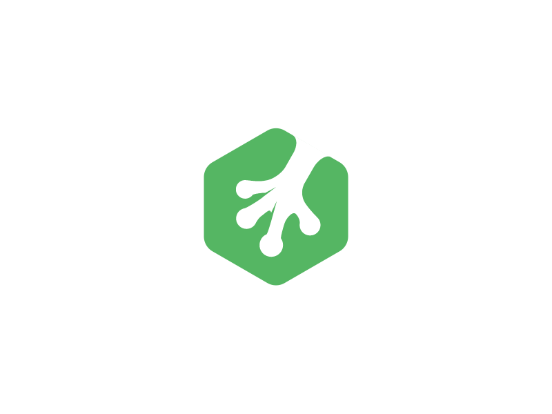 Treehouse Techdegree Animation Concept