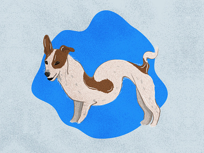 Jack Russell twirl dog dog illustration dogs illustration jack jack russell jackie procreate russell twirl