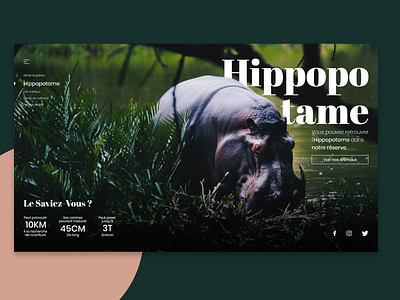 WebDesign - Hippopotamus animal design hippopotamus home ui ux website zoo