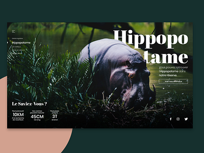 WebDesign - Hippopotamus