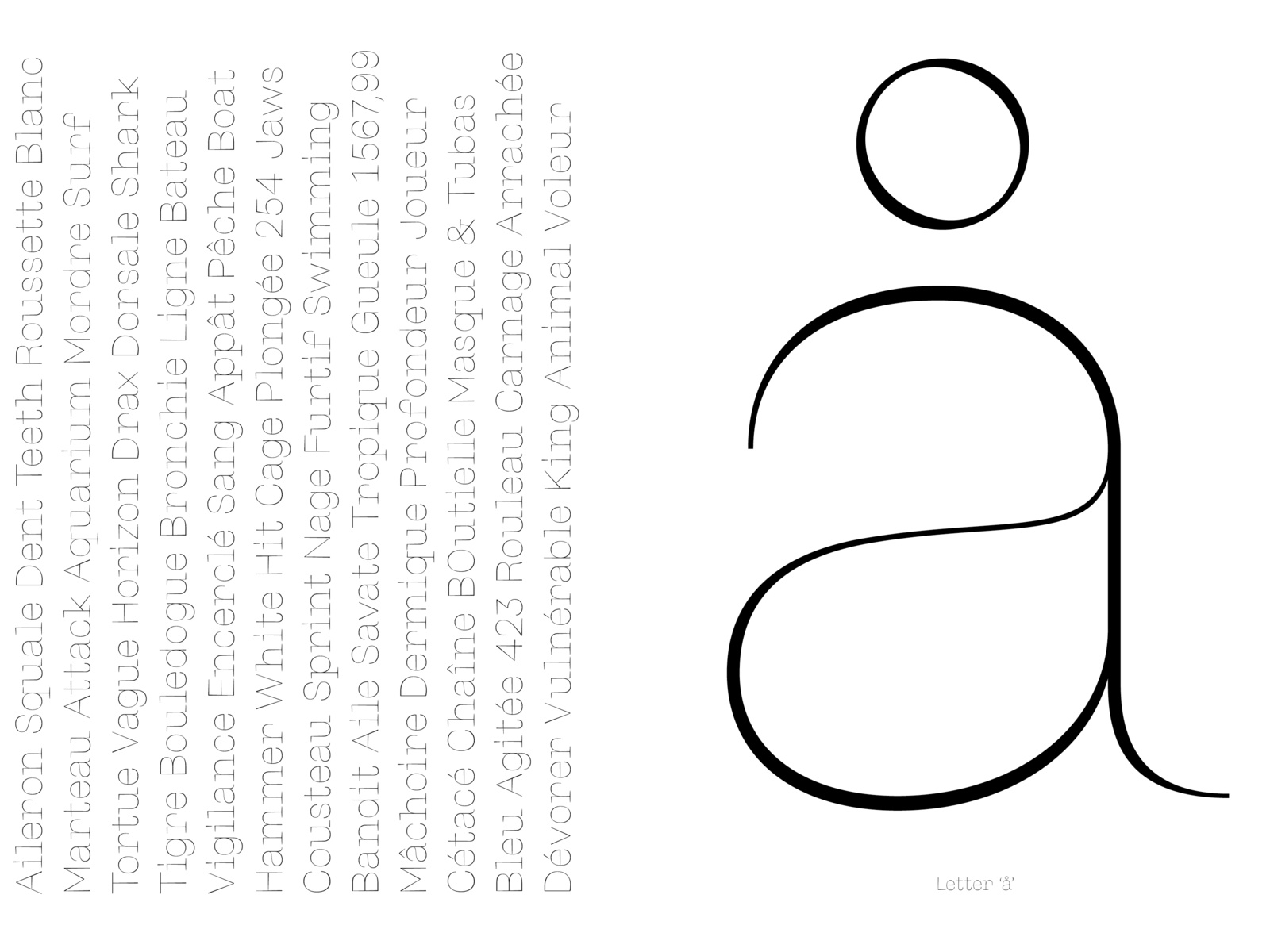 Shrill Typeface by adrien midzic on Dribbble